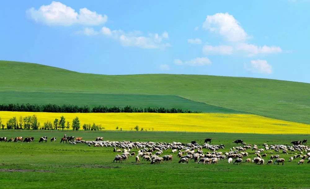 内蒙古独特风味探寻之旅，小巷中的美食秘境