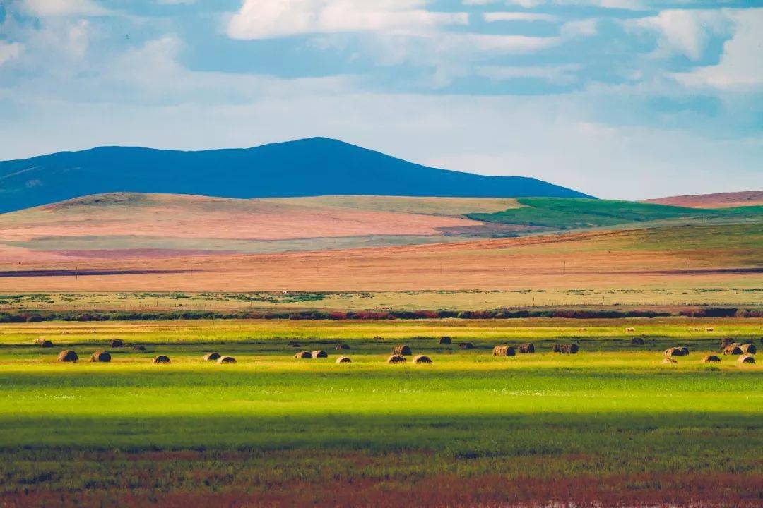 内蒙古深巷探秘，一探究竟的特色小店之旅