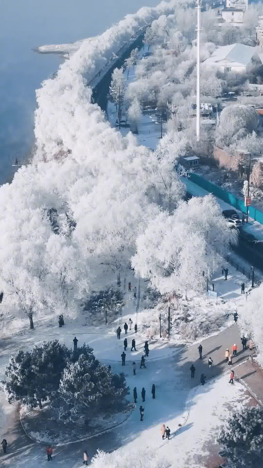 吉林，东北老工业基地振兴的关键引擎
